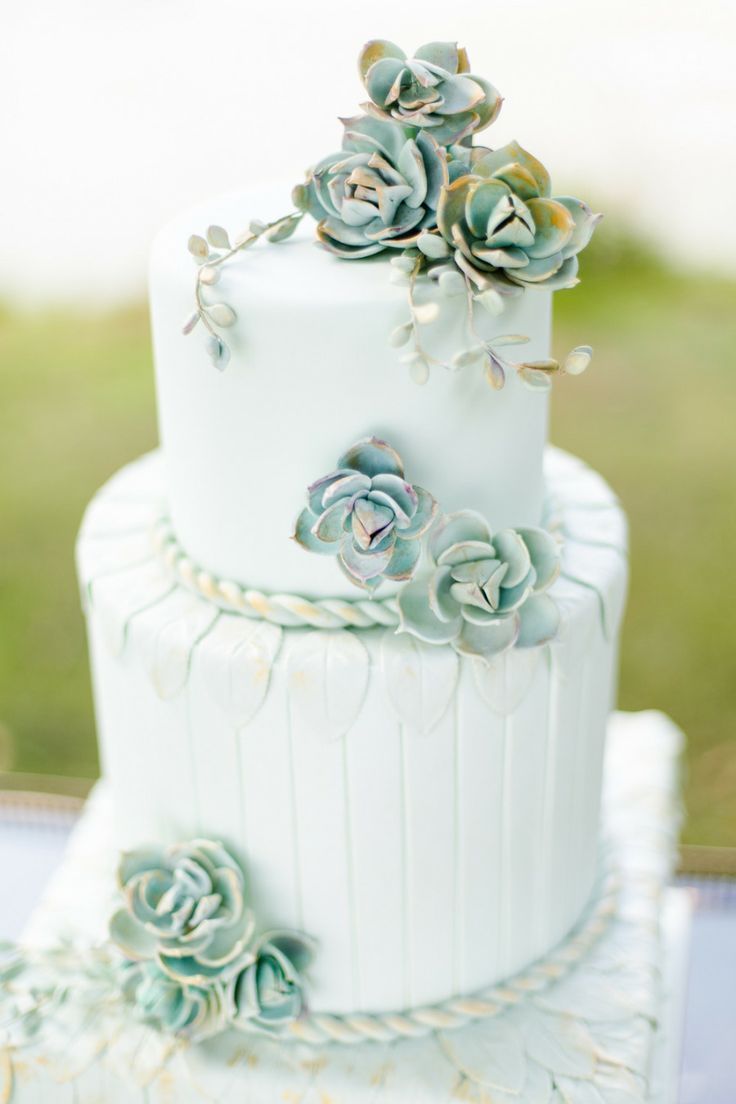 Grayed Jade Green Succlent Wedding Cake