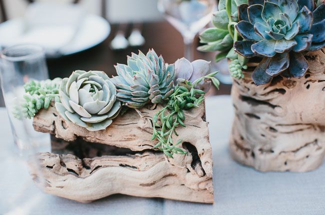 driftwood and succulent wedding table centerpieces