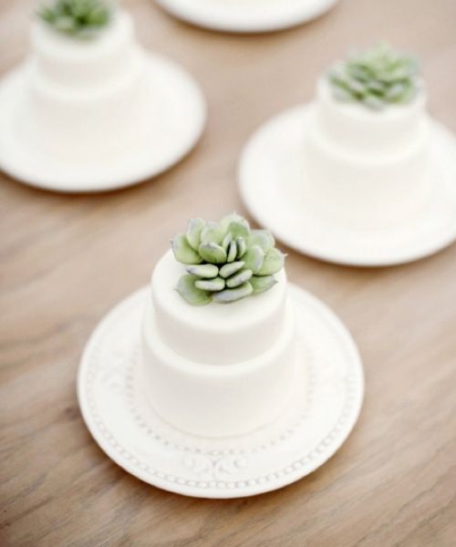 mini succulent wedding cakes