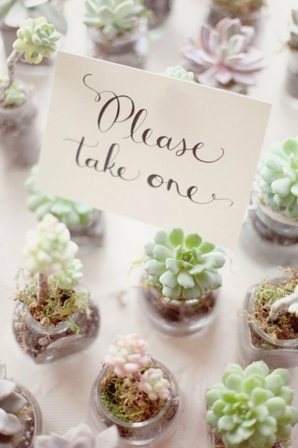 rustic wedding ideas-succlent wedding favor