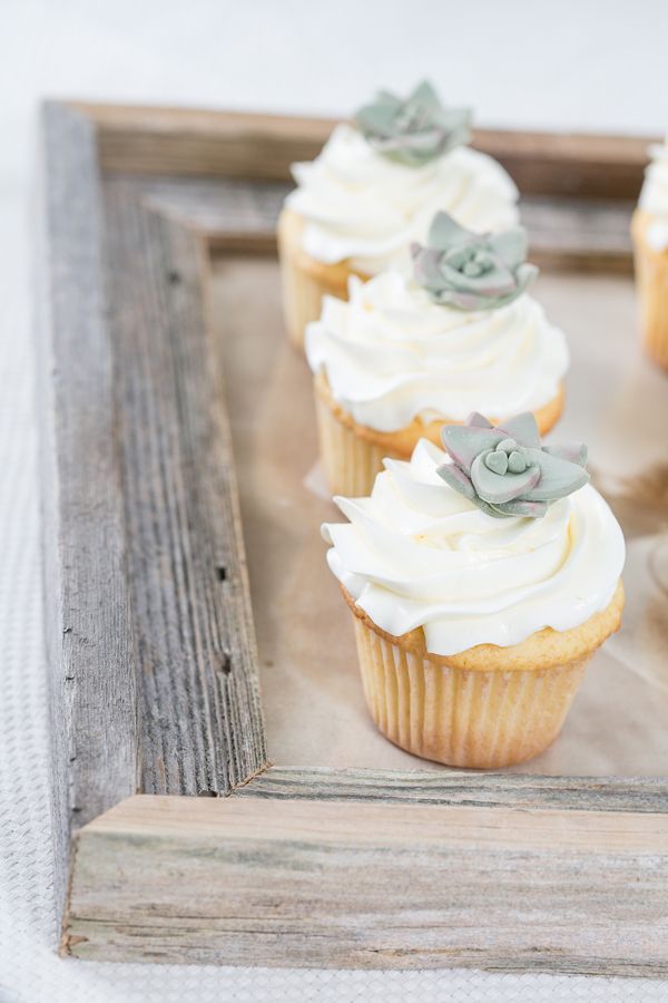 succulent cup cake ideas