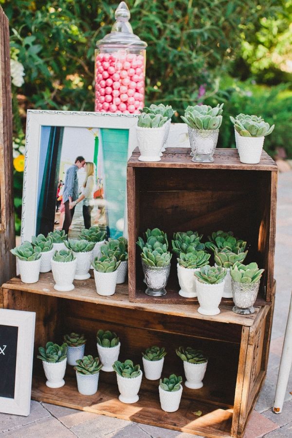 succulent wedding favor and decor ideas