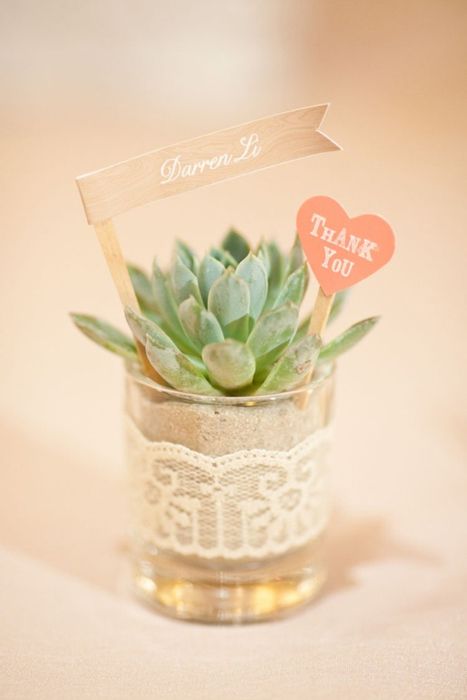 succulent wedding favor with flag as place card