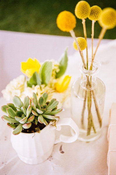 billy balls in bottle and succulent centerpieces for wedding