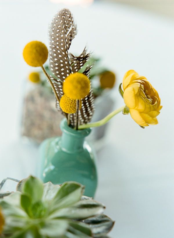 billy dalls and ranunculus with feather in blue bottles